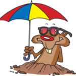 groundhog
