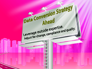 data conversion strategy - expertise