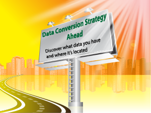 data conversion strategy - discovery