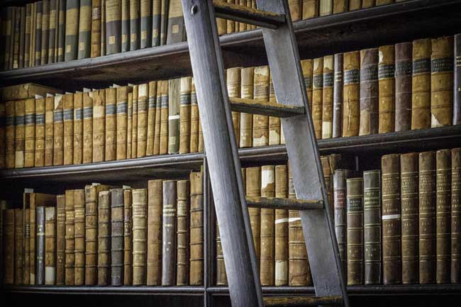 ladder-library