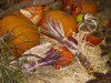 thanksgiving harvest