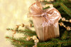 Christmas gift - tree branch-sm