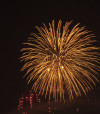 fireworks _ web