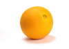 navel orange _ web
